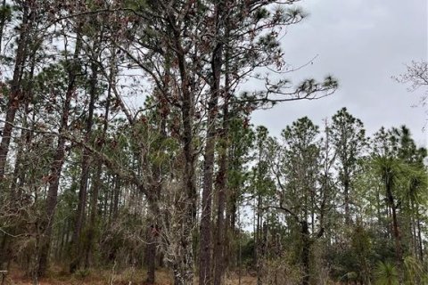 Land in Dunnellon, Florida № 2165251 - photo 5