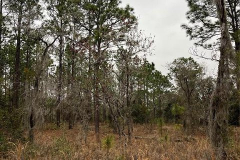 Land in Dunnellon, Florida № 2165251 - photo 11