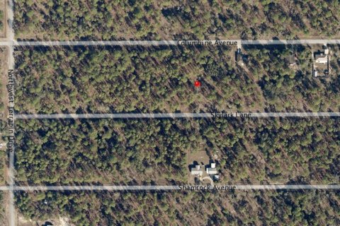 Land in Dunnellon, Florida № 2165251 - photo 6