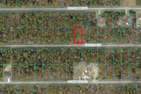 Land in Dunnellon, Florida № 2165251 - photo 7