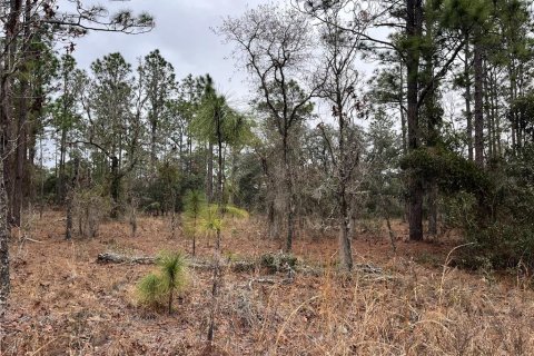 Land in Dunnellon, Florida № 2165251