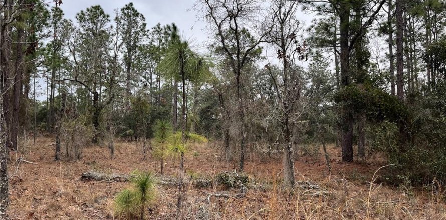 Land in Dunnellon, Florida № 2165251