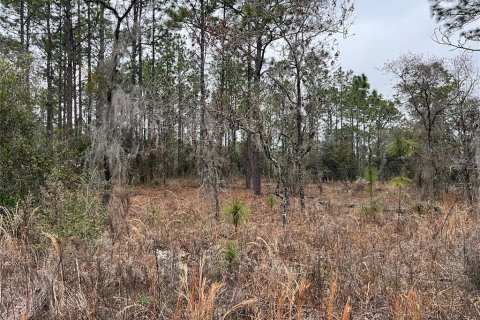 Land in Dunnellon, Florida № 2165251 - photo 3
