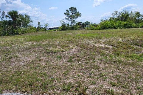 Land in Cape Coral, Florida № 1917437 - photo 4