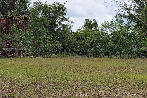 Land in Cape Coral, Florida № 1917437 - photo 6