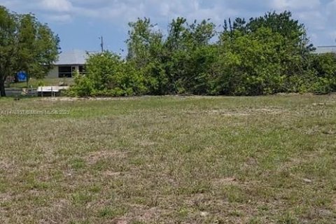 Land in Cape Coral, Florida № 1917437 - photo 5