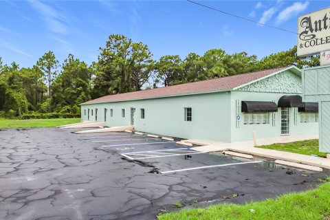 Immobilier commercial à louer à Homosassa, Floride: 422.15 m2 № 2377608 - photo 11