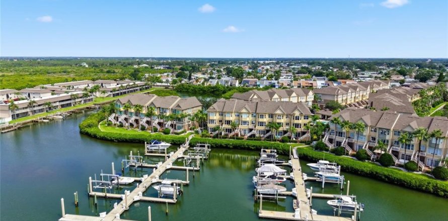 Townhouse in Tampa, Florida 4 bedrooms, 235.97 sq.m. № 2350207