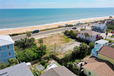 Land in Flagler Beach, Florida № 1740958 - photo 3