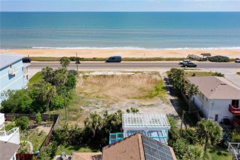 Land in Flagler Beach, Florida № 1740958 - photo 2