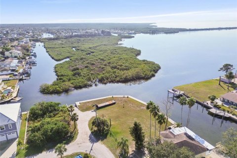 Terreno en venta en Hudson, Florida № 2125574 - foto 8