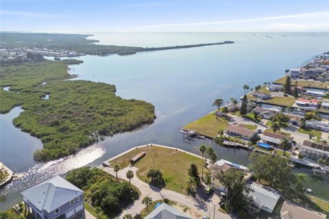 Terrain à Hudson, Floride № 2125574
