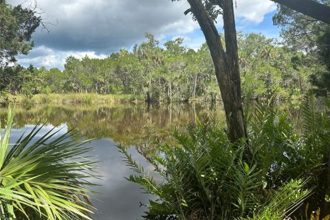 Land in Inglis, Florida № 1884035 - photo 12