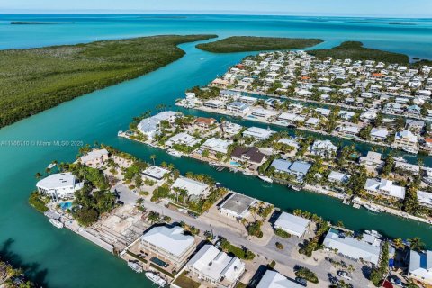 House in Islamorada, Village of Islands, Florida 6 bedrooms № 1870061 - photo 11