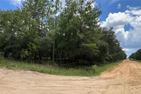 Terrain à Interlachen, Floride № 2165771