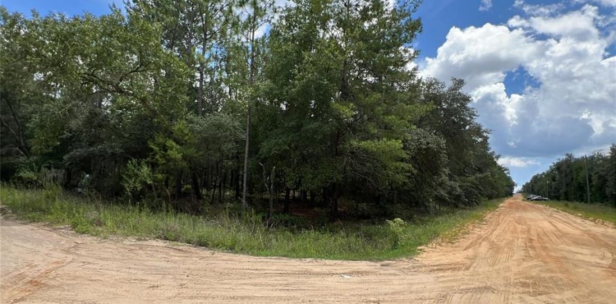 Terrain à Interlachen, Floride № 2165771