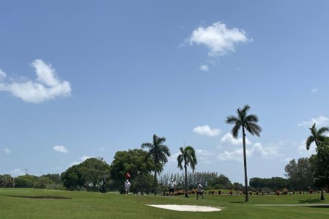 Studio à Condo à Hollywood, Floride  № 2254685