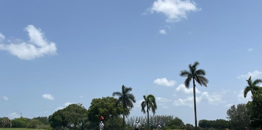 Studio à Condo à Hollywood, Floride № 2254685