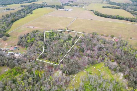 Land in Dade City, Florida № 2108196