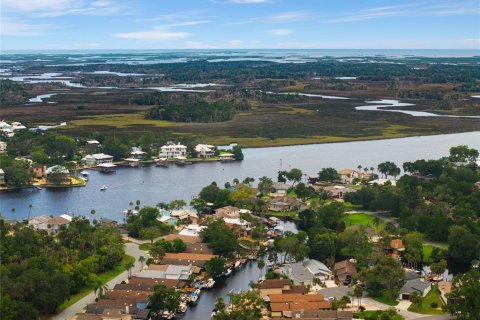 Купить виллу или дом в Хомосасса, Флорида 3 комнаты, 211.63м2, № 2315022 - фото 3