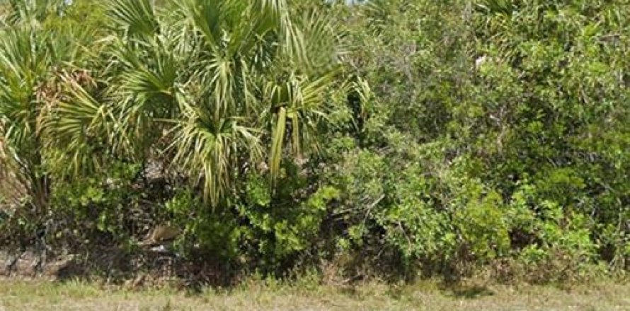 Land in Palm Bay, Florida № 1914029