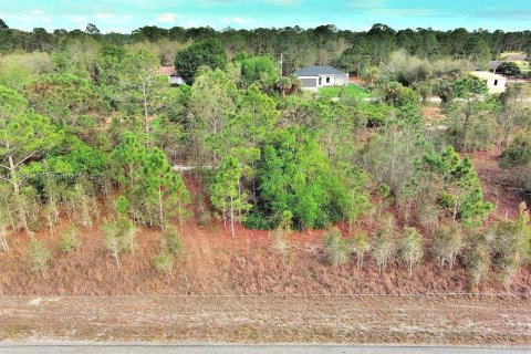 Land in Lehigh Acres, Florida № 2164292 - photo 5