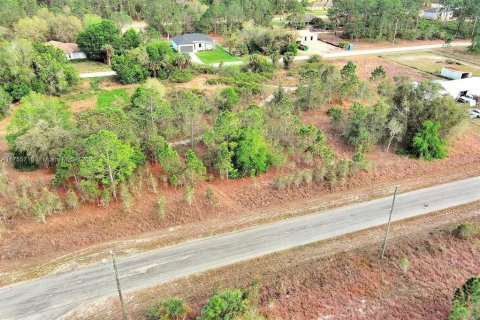 Land in Lehigh Acres, Florida № 2164292 - photo 14