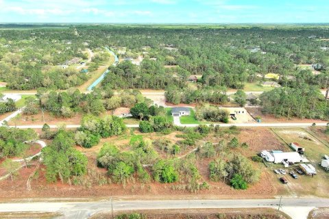 Land in Lehigh Acres, Florida № 2164292 - photo 17