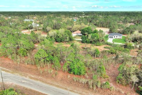 Land in Lehigh Acres, Florida № 2164292 - photo 9
