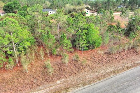 Land in Lehigh Acres, Florida № 2164292 - photo 7