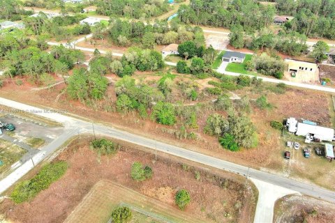 Land in Lehigh Acres, Florida № 2164292 - photo 19