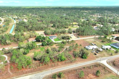 Land in Lehigh Acres, Florida № 2164292 - photo 3