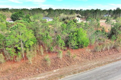 Land in Lehigh Acres, Florida № 2164292 - photo 6