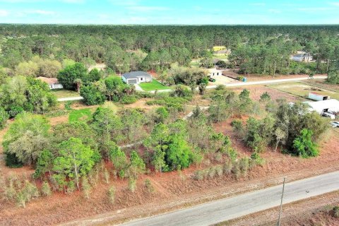 Land in Lehigh Acres, Florida № 2164292 - photo 13