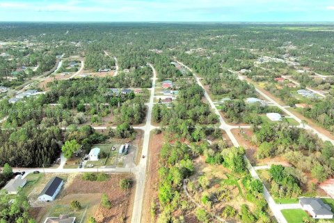 Land in Lehigh Acres, Florida № 2164292 - photo 23
