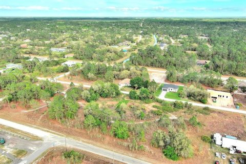 Land in Lehigh Acres, Florida № 2164292 - photo 18