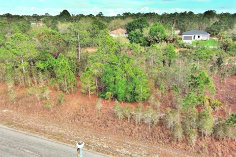 Land in Lehigh Acres, Florida № 2164292 - photo 8