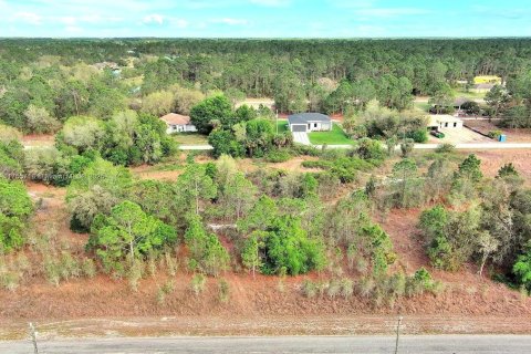 Land in Lehigh Acres, Florida № 2164292