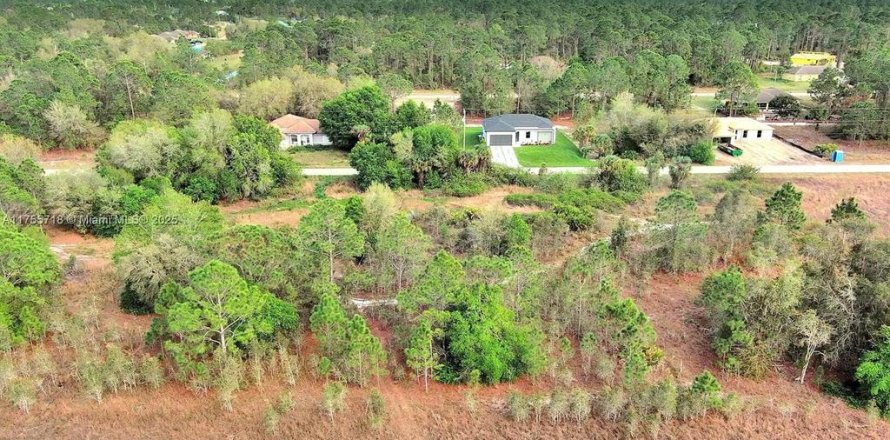 Land in Lehigh Acres, Florida № 2164292