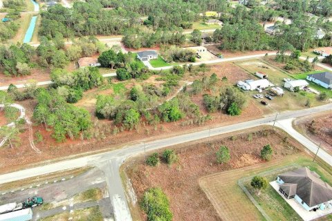 Land in Lehigh Acres, Florida № 2164292 - photo 15
