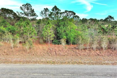 Land in Lehigh Acres, Florida № 2164292 - photo 4