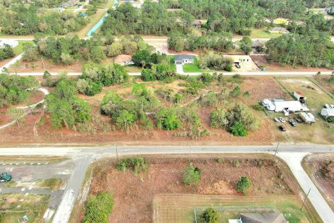 Land in Lehigh Acres, Florida № 2164292 - photo 16