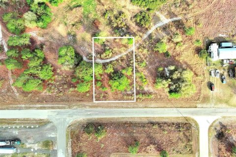 Land in Lehigh Acres, Florida № 2164292 - photo 2