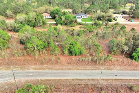 Land in Lehigh Acres, Florida № 2164292 - photo 11