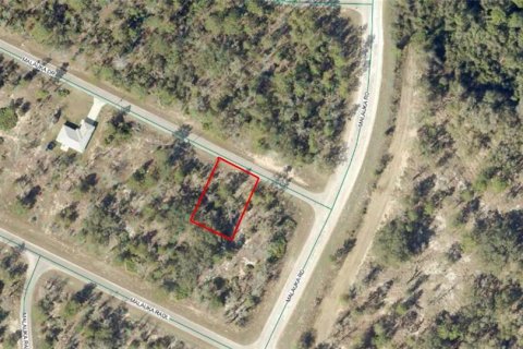 Land in Ocklawaha, Florida № 2159262