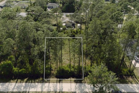 Купить земельный участок в Деланд, Флорида № 2221213 - фото 2
