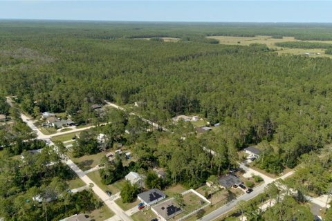 Купить земельный участок в Деланд, Флорида № 2221213 - фото 27