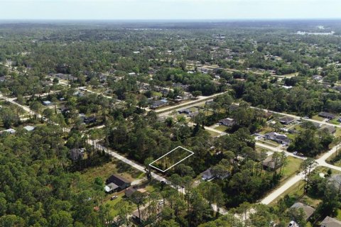 Купить земельный участок в Деланд, Флорида № 2221213 - фото 5
