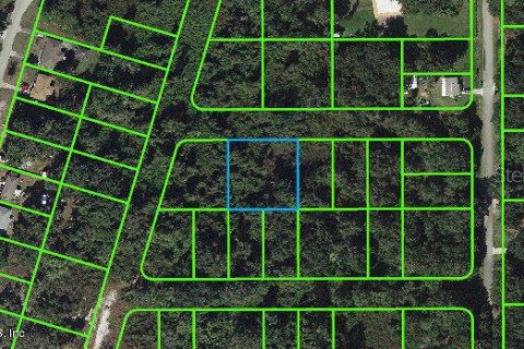 Land in Lake Placid, Florida № 2229022