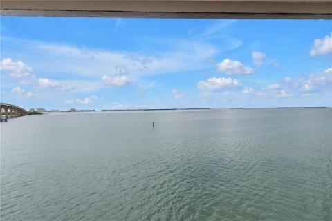 Condo in Tierra Verde, Florida, 2 bedrooms  № 2349536 - photo 25